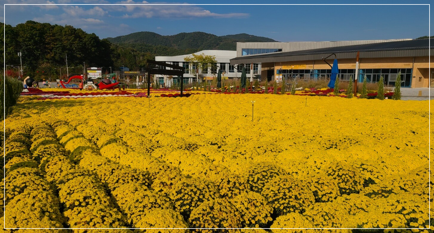 임실 가볼만한곳 베스트10 붕어섬 생태공원
