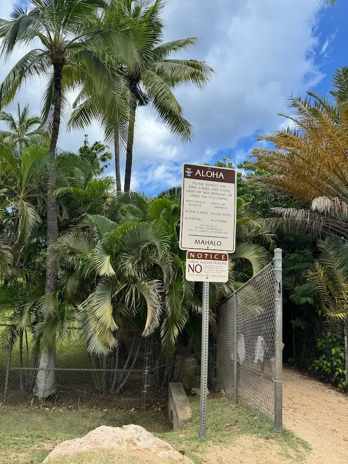 파라다이스코브 비치 입구- 야자수 나무와 안내표지판