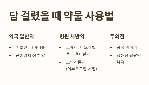 담 걸렸을 때 약