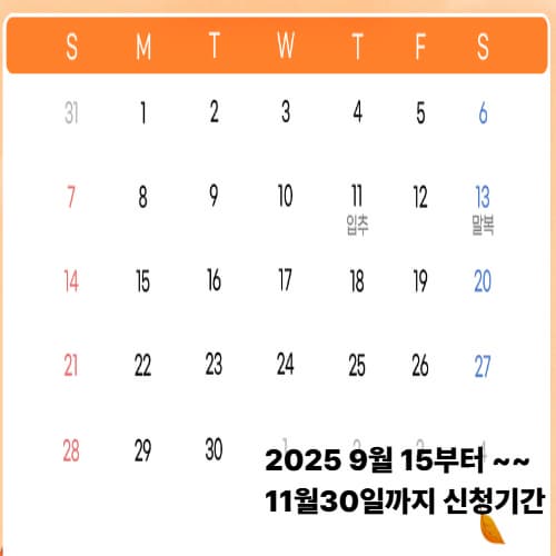 5분 만에 끝! 상생페이백 신청, 대상부터 환급까지 총정리