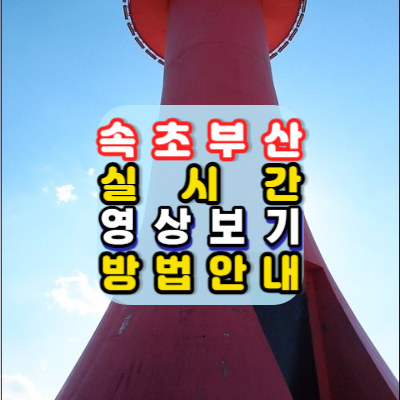 속초-부산-실시간-라이브-영상보기-미운우리새끼-김승수-등대전망대-광안리-광안대교-여행준비