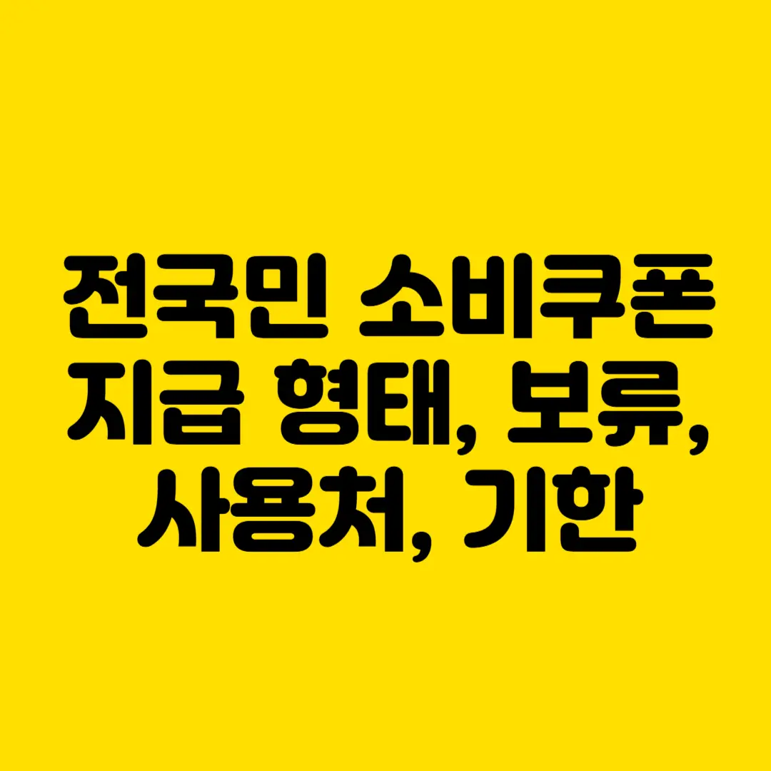 전국민 소비쿠폰 지급형태_보류_사용처_기한