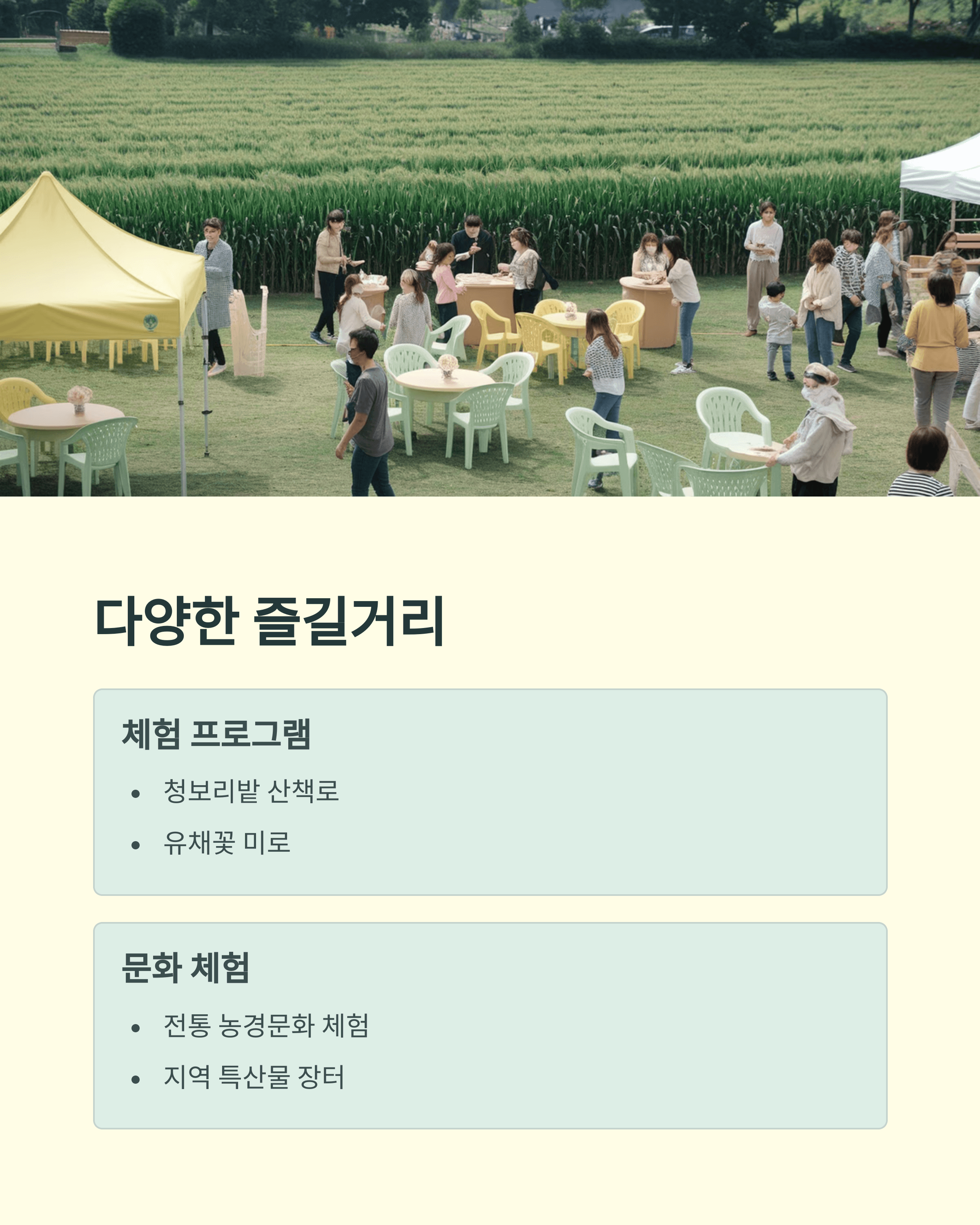 2025 고창 청보리밭 축제&#44; 폭싹 속았수다 유채꽃밭