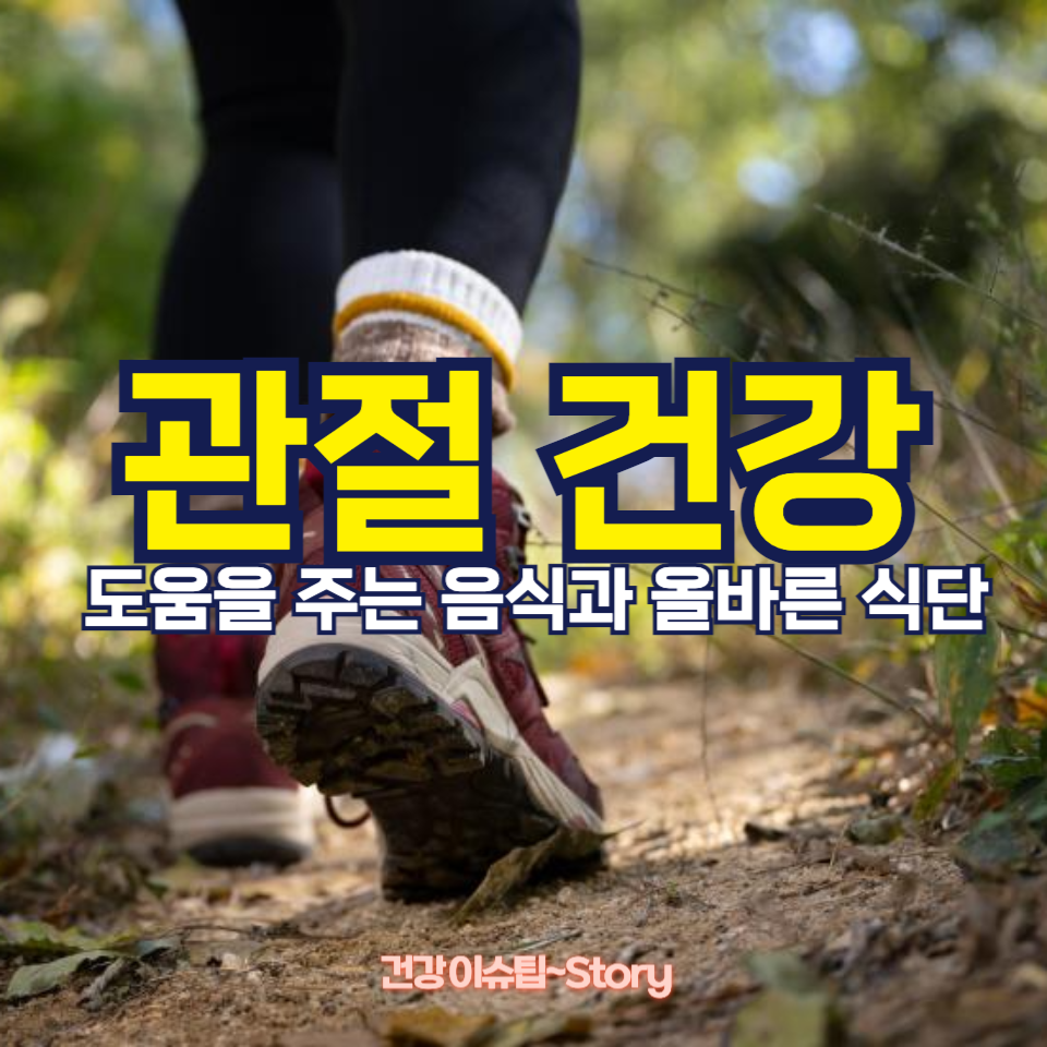 관절 건강을 위한 최고의 음식