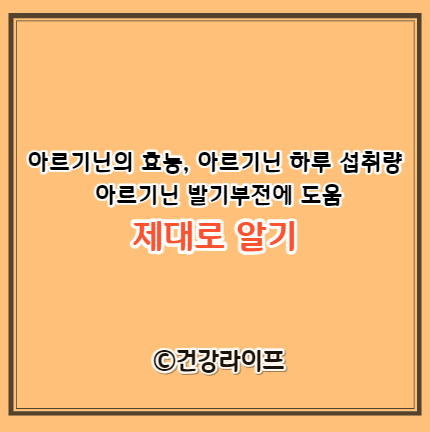 아르기닌의 효능, 아르기닌 하루 섭취량, 아르기닌 발기부전에 도움