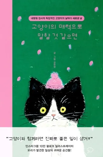 작은고양이 쪼꼬미 냥이 매력 탐구 귀여움 분석_3