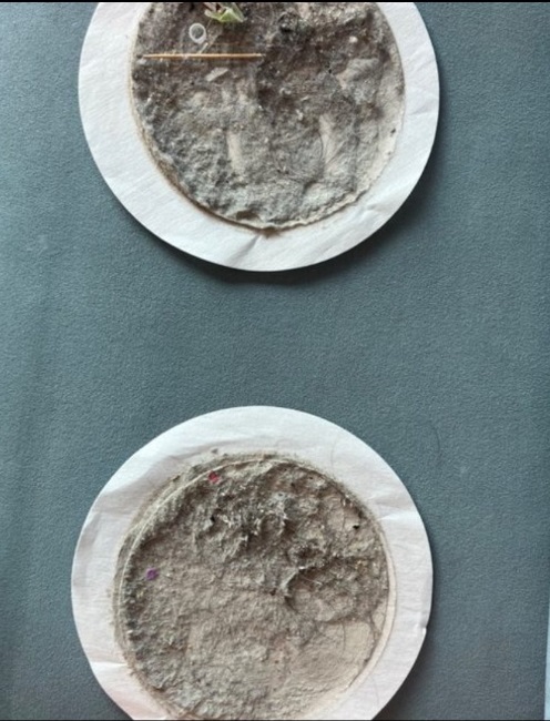 생생정보-청소업체-청아람케어-소파청소