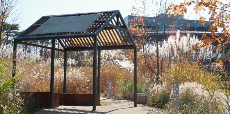 수원 일월·영흥수목원 야간 개장: 체험, 야외공연