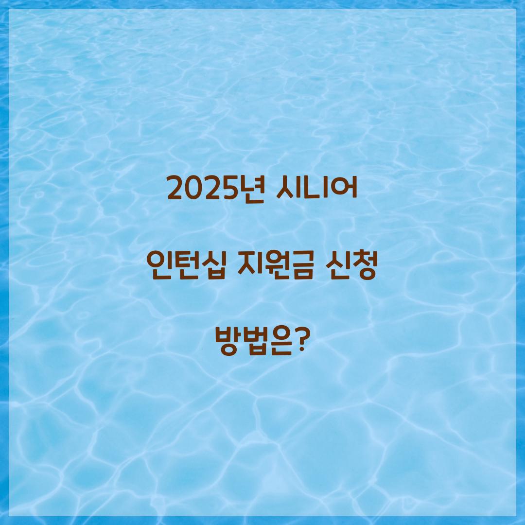 시니어 인턴십 지원금