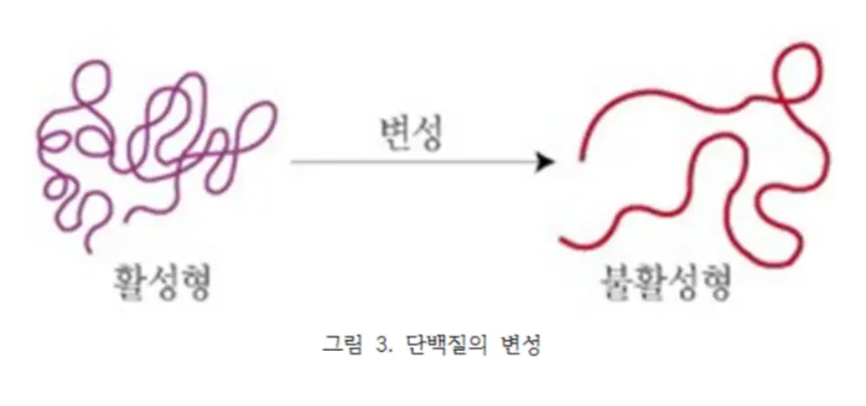 프로테오글리칸 효능 가격 추천