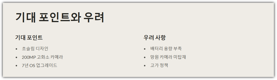사용자 기대 포인트와 우려