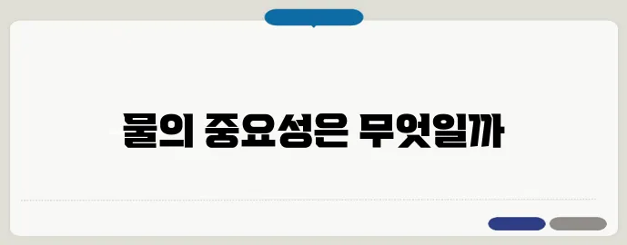 하루 물 권장량과 건강에 미치는 영향