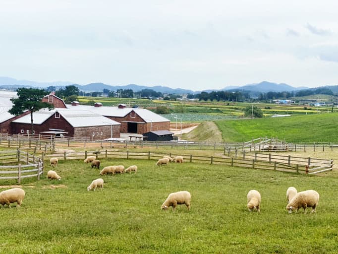 상하농원 뽀개기 시리즈 6편❘1박 2일 루트 추천 플래너(체험&middot;숙박&middot;식사&middot;산책 코스)