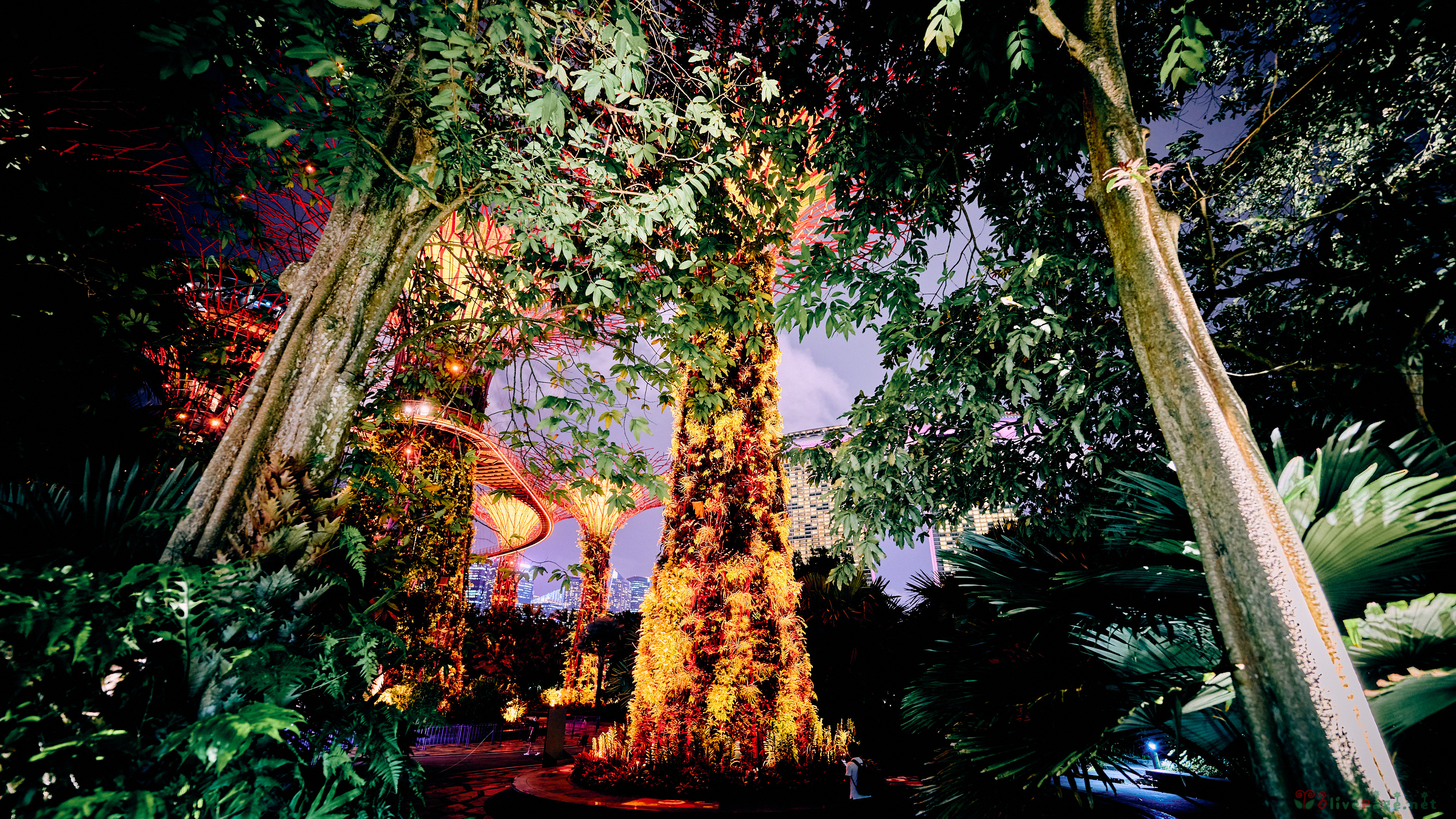 슈퍼트리 그로브