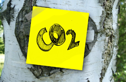 지구를 살리는 식탁, 탄소발자국으로 본 식단의 영향