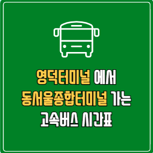 영덕터미널에서 동서울종합터미널 고속버스 시간표 요금 예매