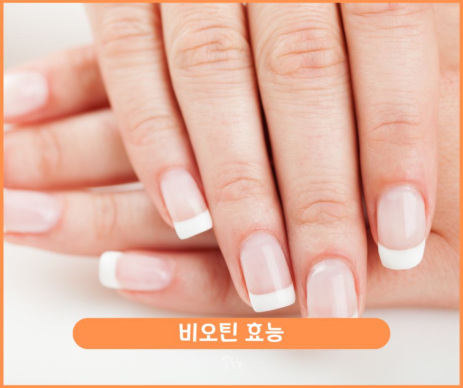 비오틴 효능