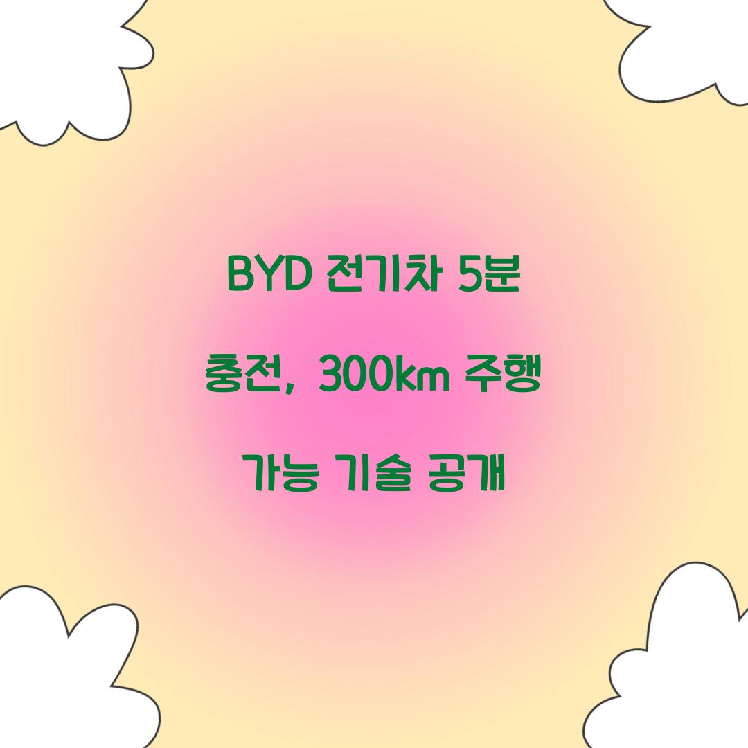 BYD 전기차 5분 충전