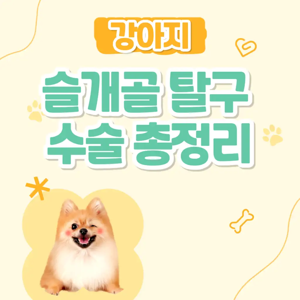 강아지 슬개골 탈구 수술