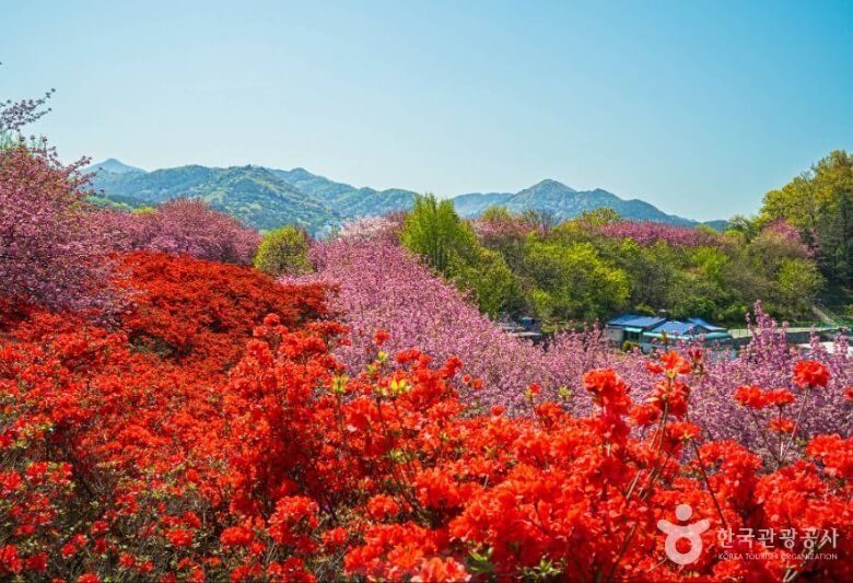 전주 가볼만한곳 베스트 10