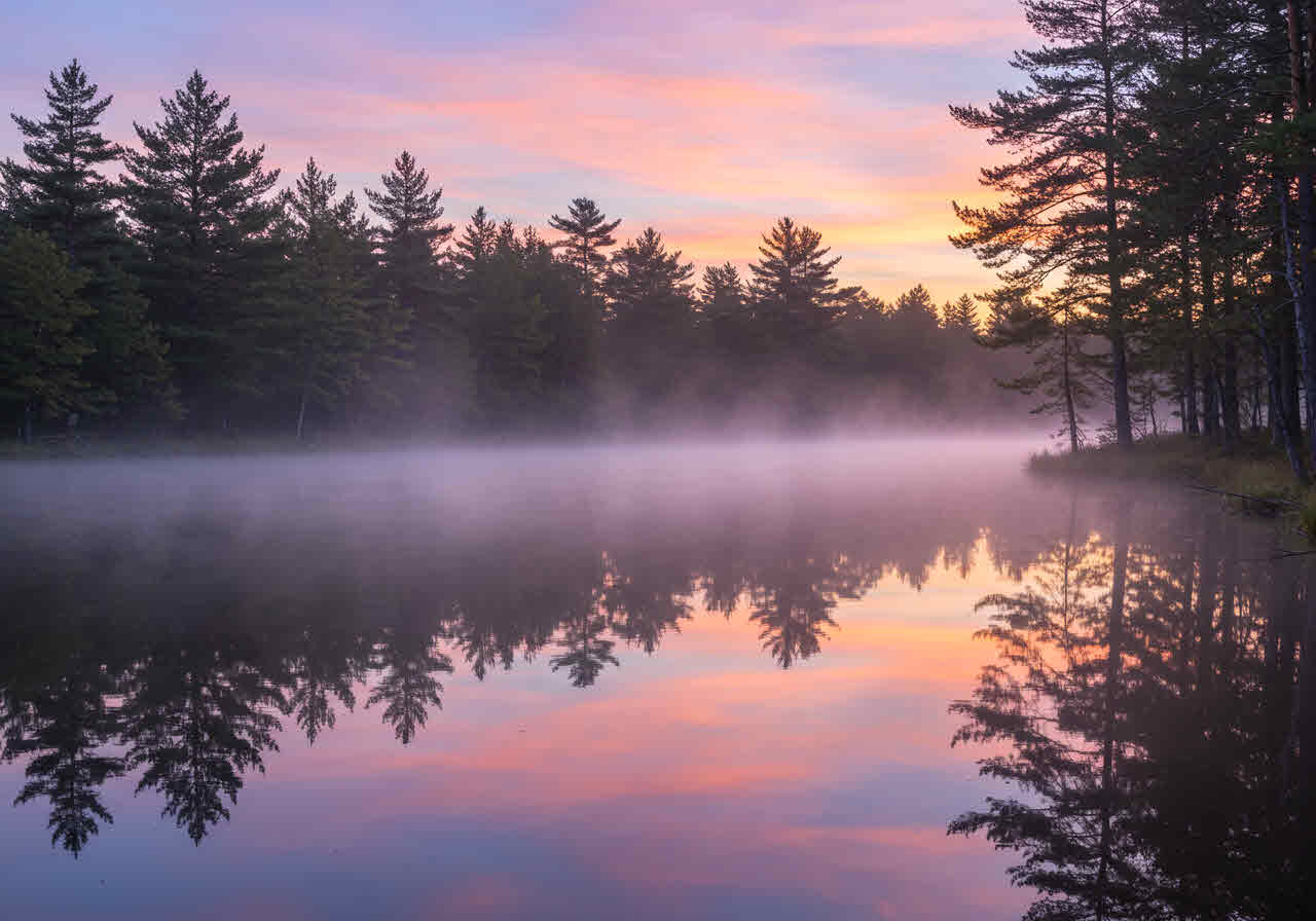 텅 빈 마음 위에 조용히 내리는 위로
