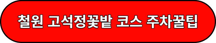 철원 고석정꽃밭 여행주차꿀팁