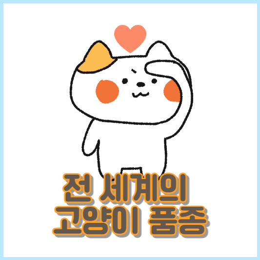 매혹적인 고양이 품종의 세계 탐험