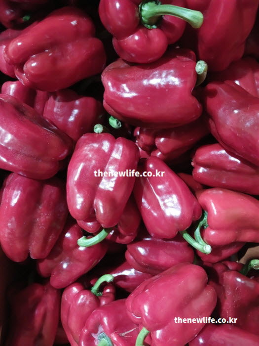 피망 효능이 농축된 빨간 피망이 선명하게 찍힌 실사진