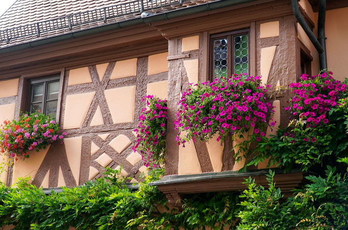 6년 단기 임대사업자 참고 사진