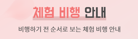 비행안내