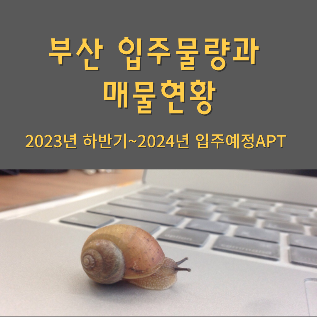 부산 입주물량과 매물현황