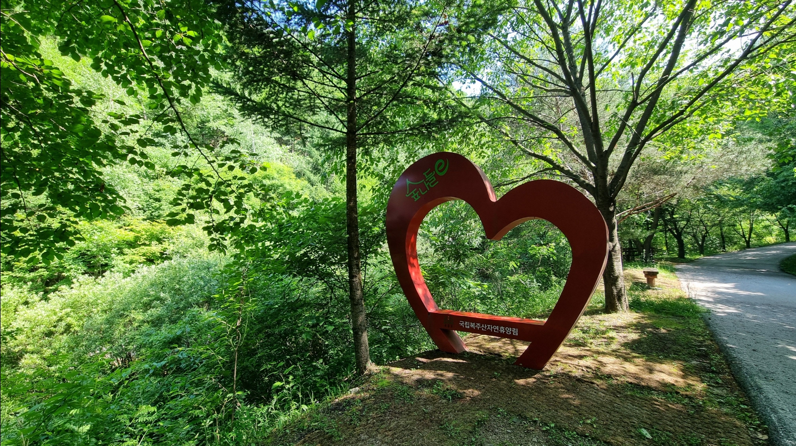 복주산 자연휴양림