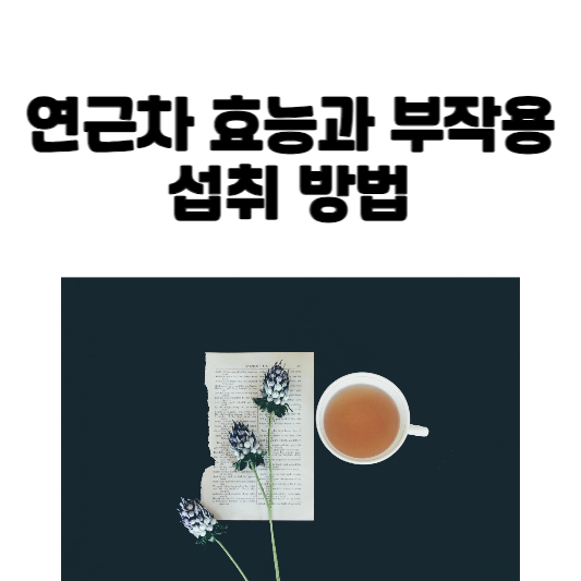연근차 효능과 부작용 및 섭취 방법