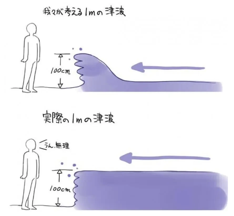 쓰나미설명