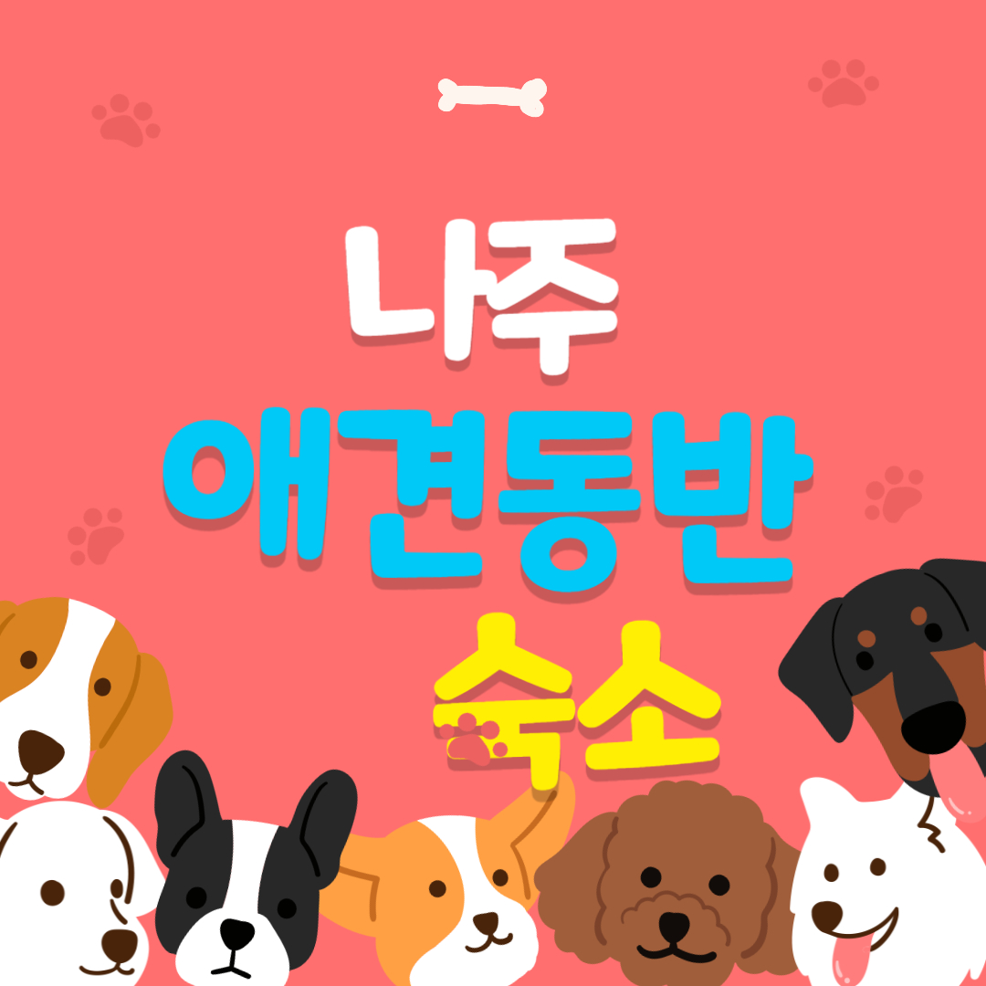 나주 애견동반