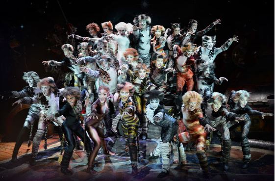 뮤지컬 캣츠 내한공연