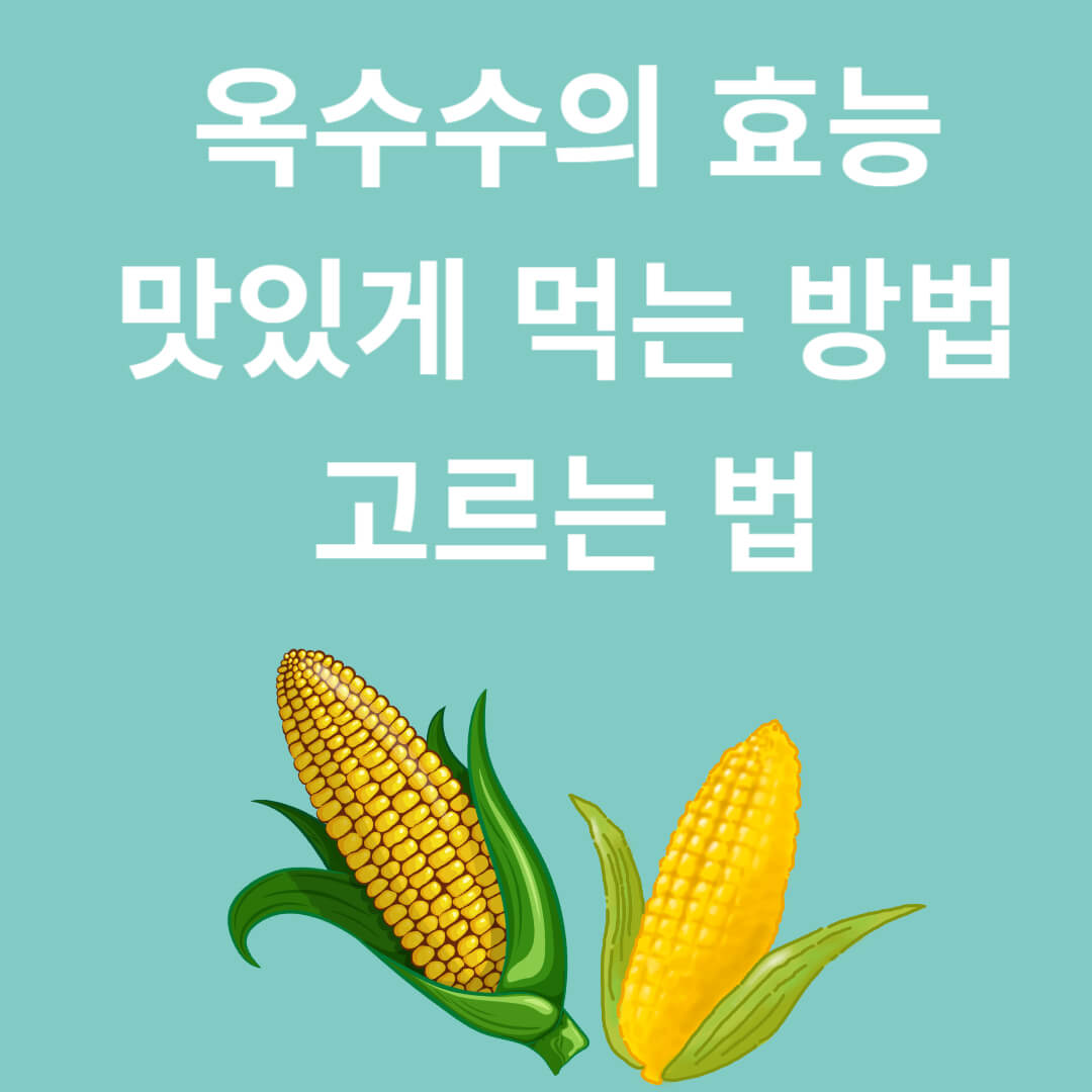 여름을 행복하게 하는 옥수수의 효능과 고르는 법
