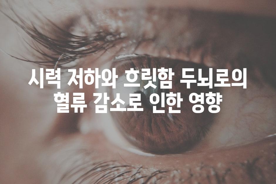 시력 저하와 흐릿함 두뇌로의 혈류 감소로 인한 영향