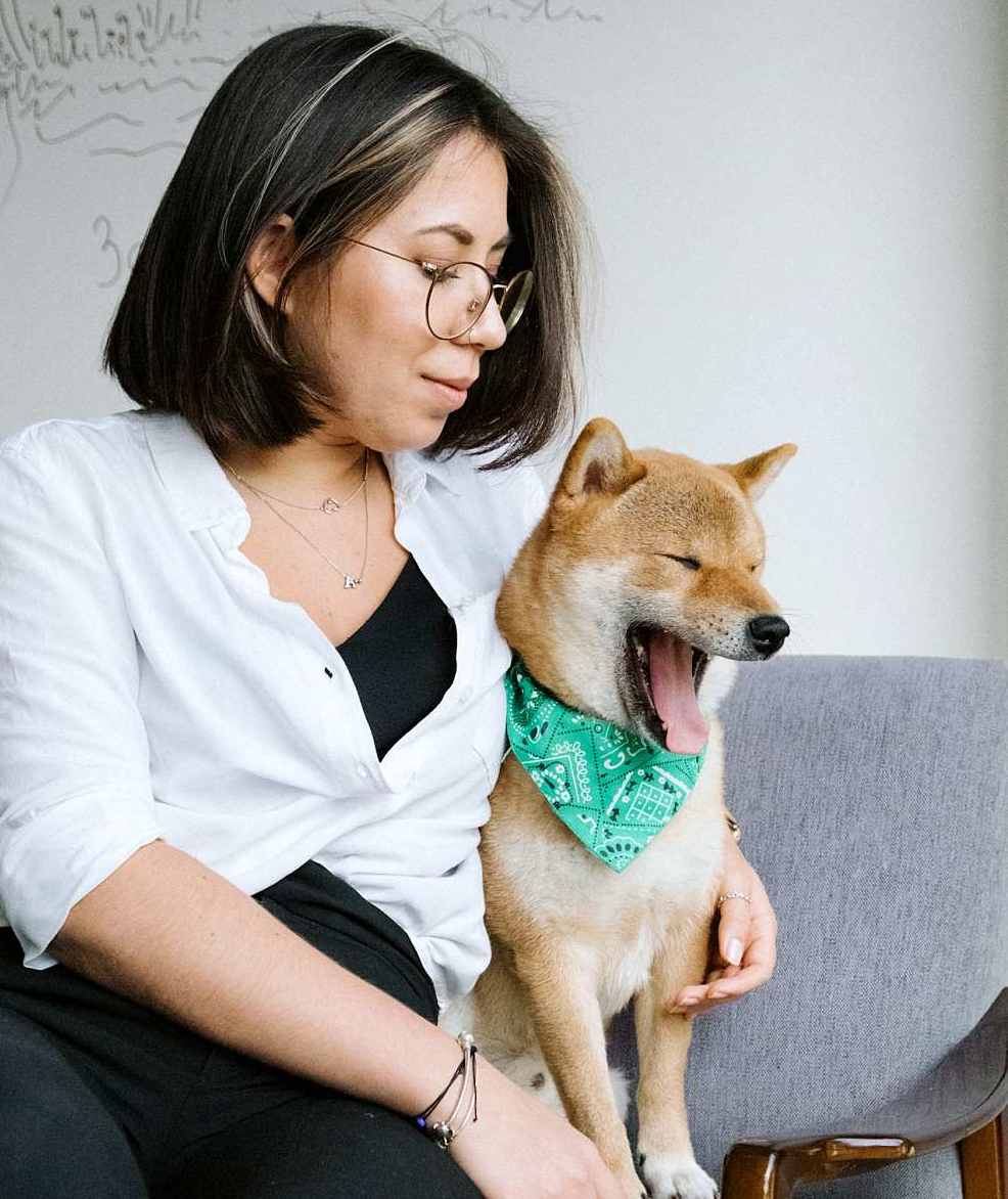 반려인능력시험