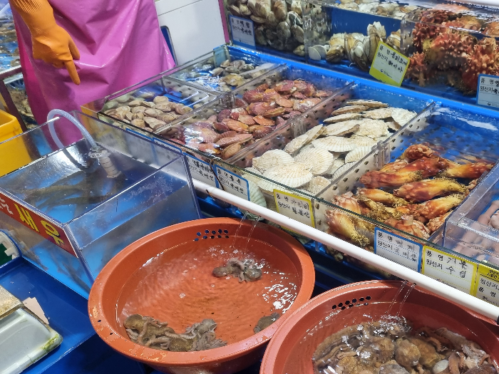 낙지와 조개