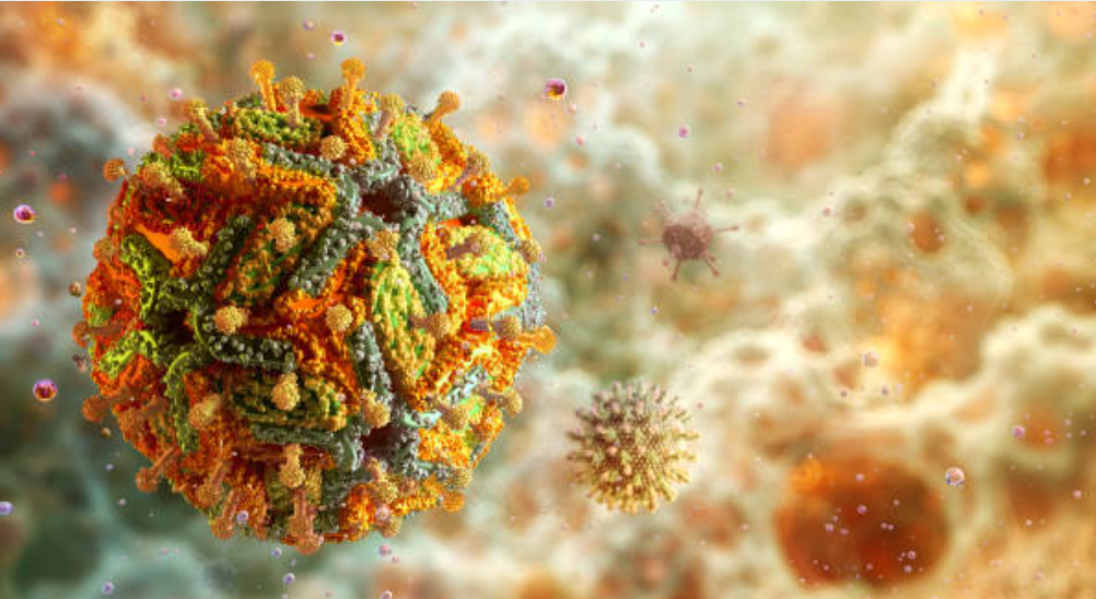 말라리아와 관련된 사진1