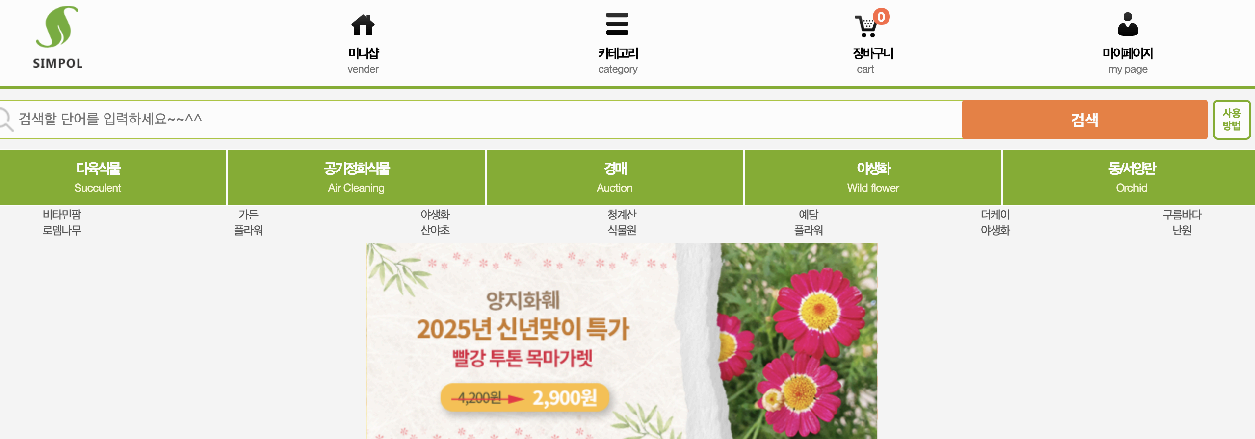 공기정화식물 어디서 살까?