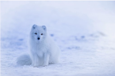 고혈압 낮추는 방법