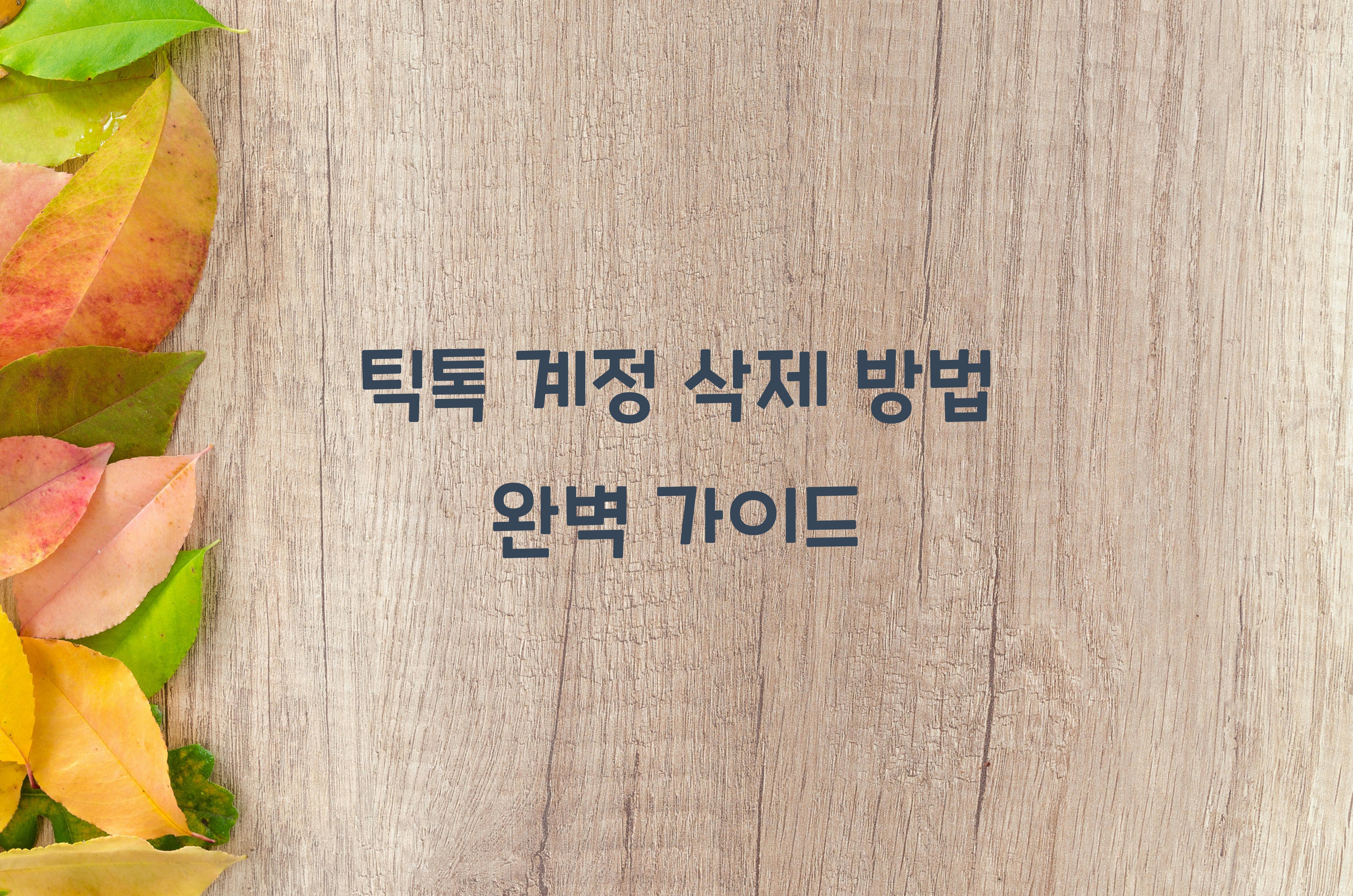 틱톡 계정 삭제 방법