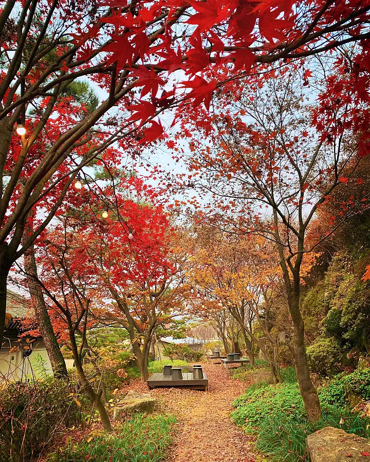 칸트의 마을 단짠단짠 치즈 브레첼 양평 베이커리 카페 맛집 추천 생방송투데이 리얼맛집 오늘방송 빵 플레이스