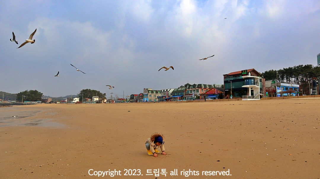 해변 모래사장에 아이가 모래를 움켜쥐고 그 위에 수많은 갈매기가 날아다닌다