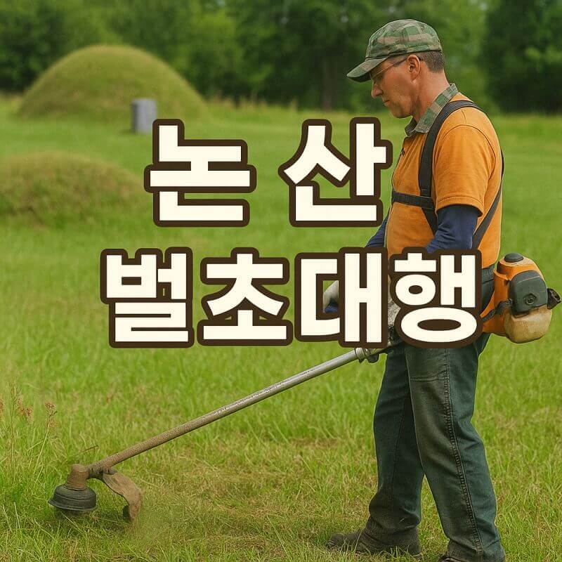 논산 벌초 대행 최신 서비스 가격, 신청 방법, 후기까지 총정리 관련사진