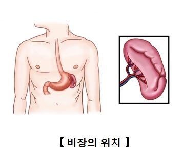 비장이란