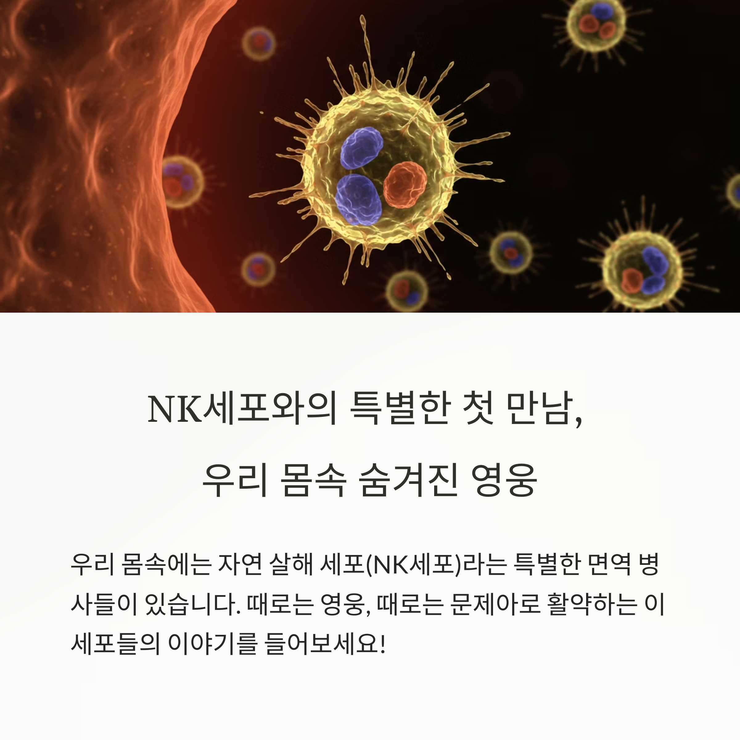 자가면역질환NK세포의양면성