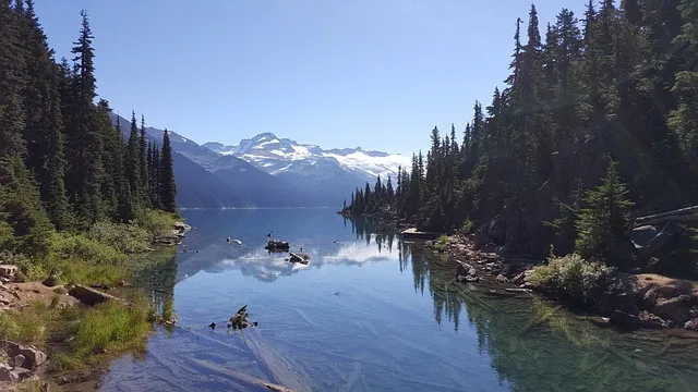 런닝화 고르는 법에 대한 발형맞춤_3